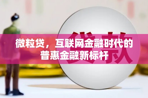 华宁微粒贷，互联网金融时代的普惠金融新标杆