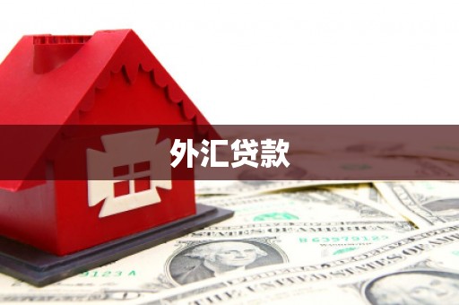 华宁外汇贷款