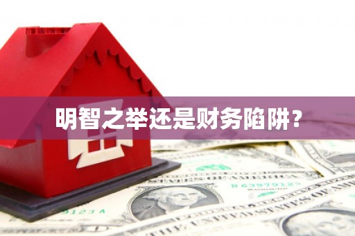 华宁明智之举还是财务陷阱？