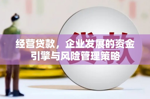 华宁经营贷款，企业发展的资金引擎与风险管理策略
