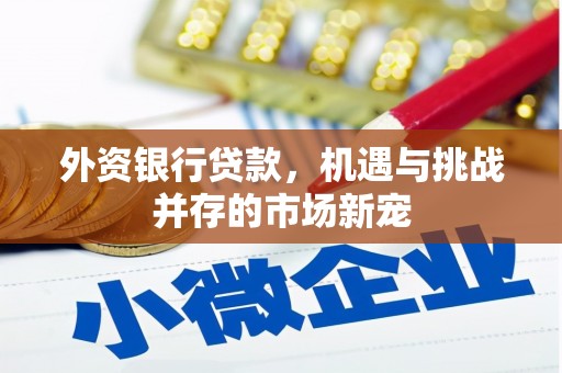 华宁外资银行贷款，机遇与挑战并存的市场新宠
