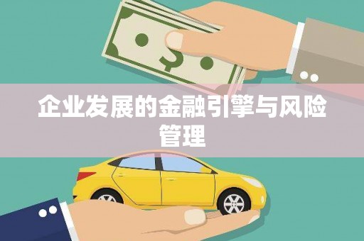 华宁企业发展的金融引擎与风险管理