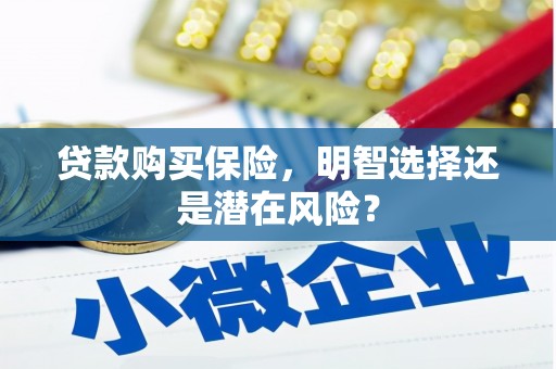 华宁贷款购买保险，明智选择还是潜在风险？