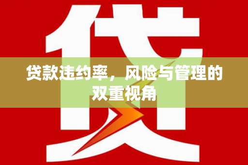 华宁贷款违约率，风险与管理的双重视角