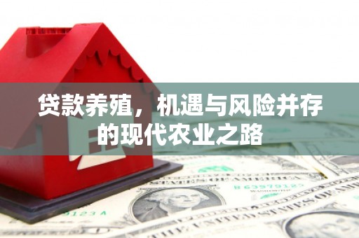 华宁贷款养殖，机遇与风险并存的现代农业之路