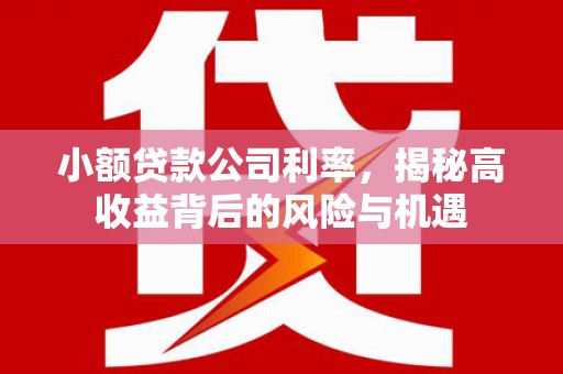 华宁小额贷款公司利率，揭秘高收益背后的风险与机遇