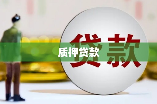 华宁质押贷款