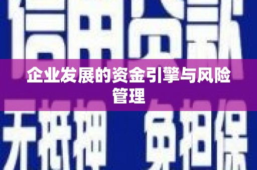 华宁企业发展的资金引擎与风险管理