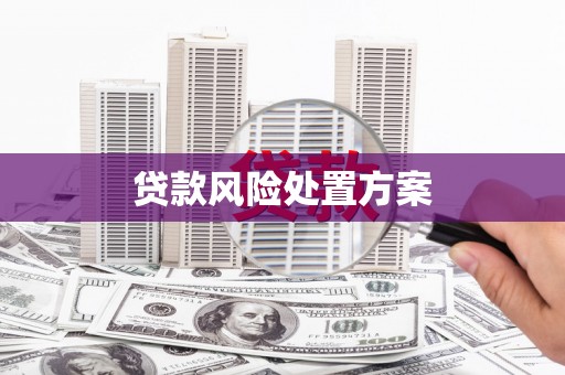 华宁贷款风险处置方案