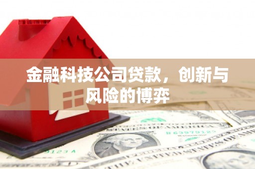 华宁金融科技公司贷款，创新与风险的博弈