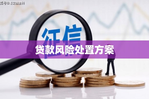 华宁贷款风险处置方案