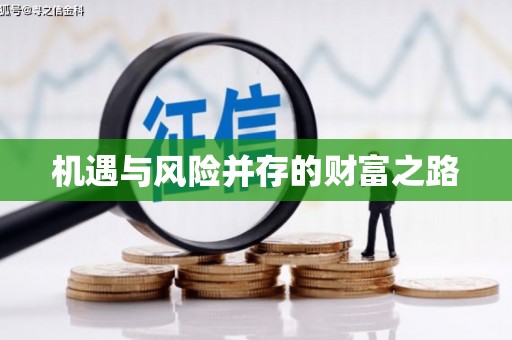 华宁机遇与风险并存的财富之路