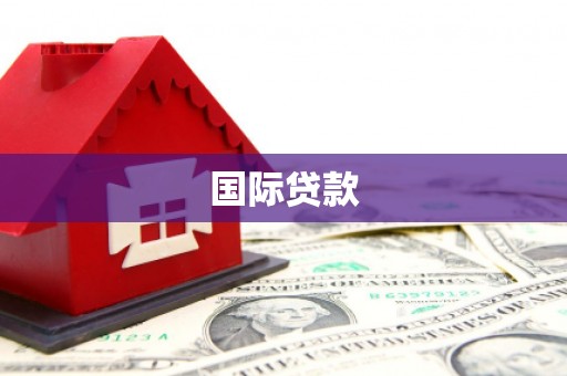 华宁国际贷款