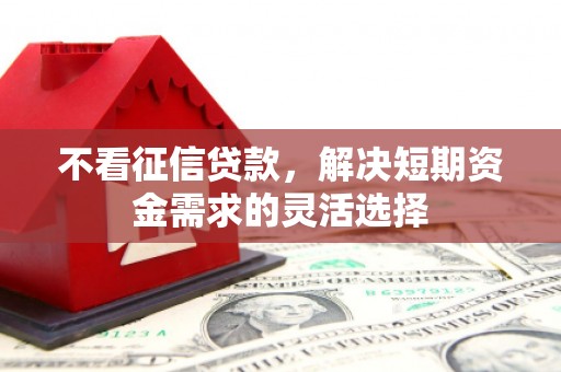 华宁不看征信贷款，解决短期资金需求的灵活选择