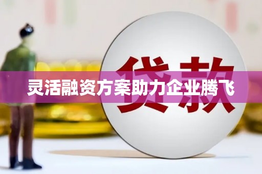 华宁灵活融资方案助力企业腾飞