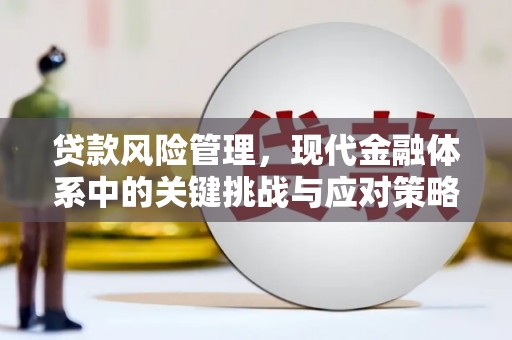 华宁贷款风险管理，现代金融体系中的关键挑战与应对策略
