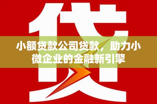 华宁小额贷款公司贷款，助力小微企业的金融新引擎