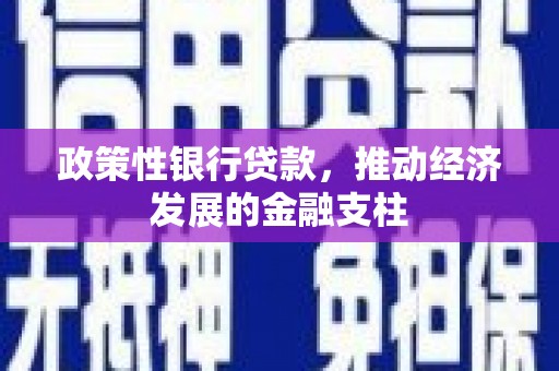 华宁政策性银行贷款，推动经济发展的金融支柱