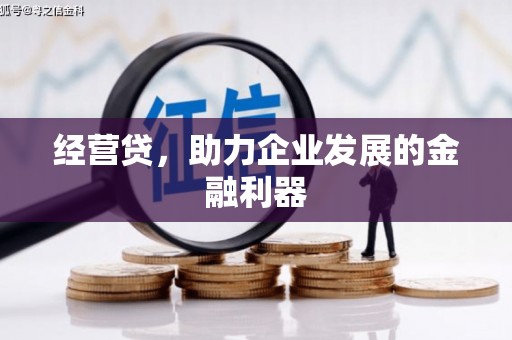 华宁经营贷，助力企业发展的金融利器