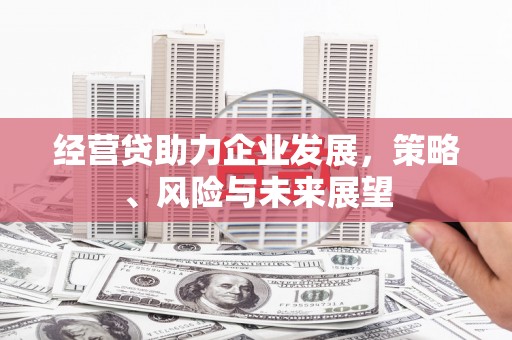 华宁经营贷助力企业发展，策略、风险与未来展望