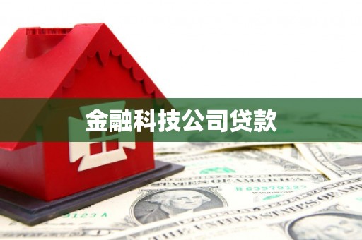 华宁金融科技公司贷款