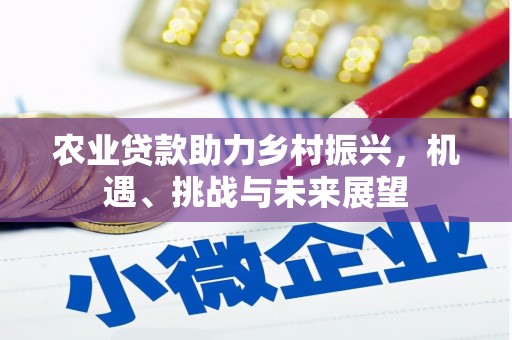 华宁农业贷款助力乡村振兴，机遇、挑战与未来展望