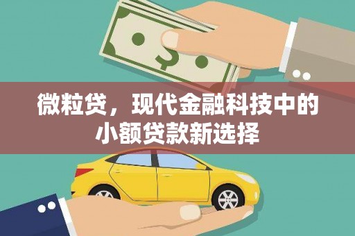 华宁微粒贷，现代金融科技中的小额贷款新选择