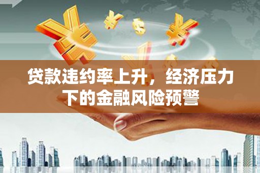 华宁贷款违约率上升，经济压力下的金融风险预警