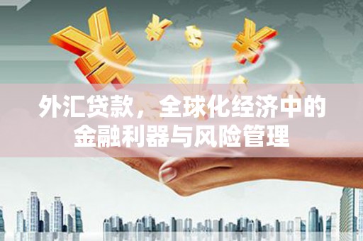 华宁外汇贷款，全球化经济中的金融利器与风险管理