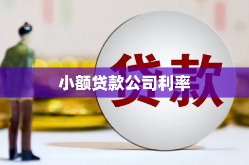 华宁小额贷款公司利率