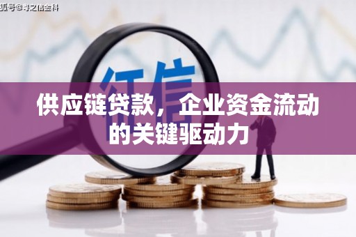 华宁供应链贷款，企业资金流动的关键驱动力