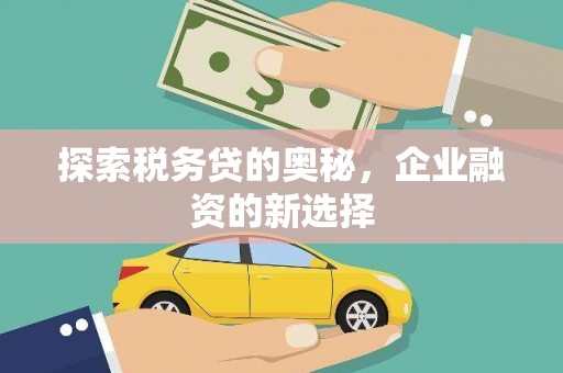 华宁探索税务贷的奥秘，企业融资的新选择