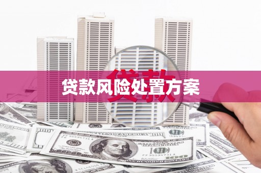华宁贷款风险处置方案