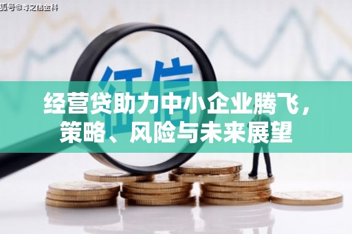 华宁经营贷助力中小企业腾飞，策略、风险与未来展望