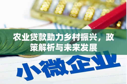 华宁农业贷款助力乡村振兴，政策解析与未来发展