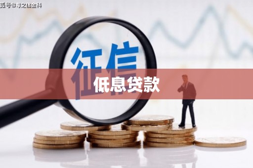 华宁低息贷款