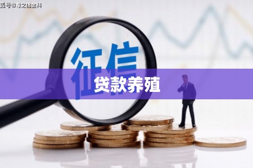 华宁贷款养殖