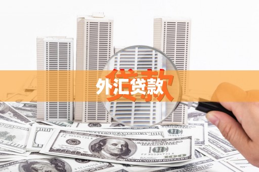 华宁外汇贷款