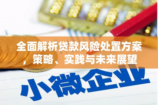 华宁全面解析贷款风险处置方案，策略、实践与未来展望