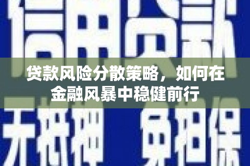 华宁贷款风险分散策略，如何在金融风暴中稳健前行