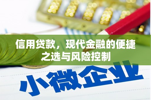 华宁信用贷款，现代金融的便捷之选与风险控制