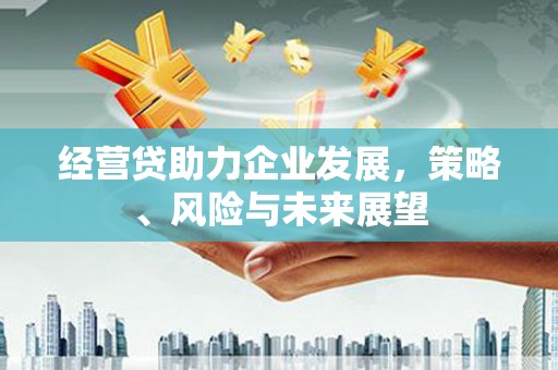 华宁经营贷助力企业发展，策略、风险与未来展望