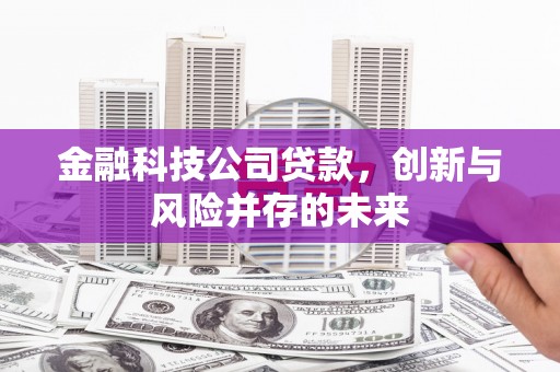 华宁金融科技公司贷款，创新与风险并存的未来