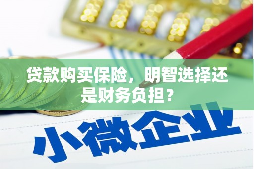 华宁贷款购买保险，明智选择还是财务负担？