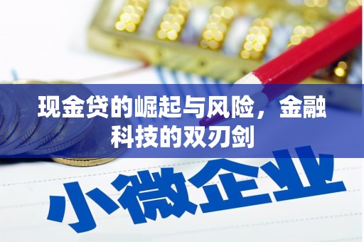 华宁现金贷的崛起与风险，金融科技的双刃剑