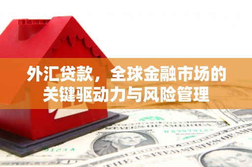华宁外汇贷款，全球金融市场的关键驱动力与风险管理