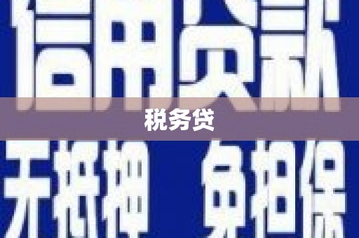 华宁税务贷