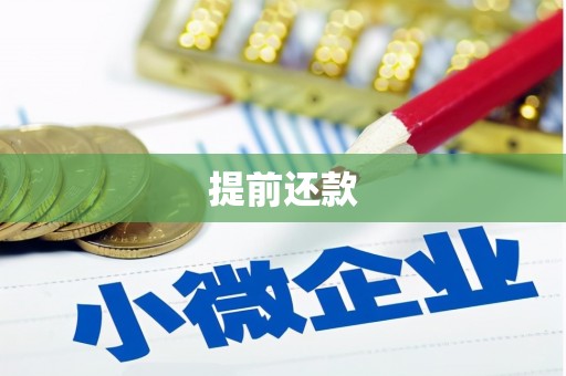 华宁提前还款