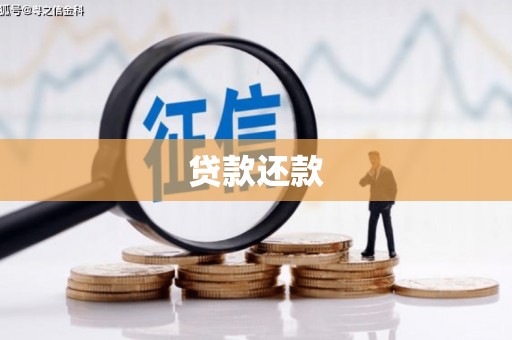 华宁贷款还款