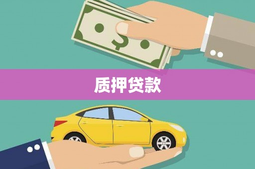 华宁质押贷款